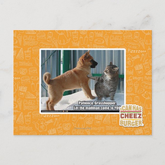 Cartão Postal Paciência, Gafanhoto. (Frente)