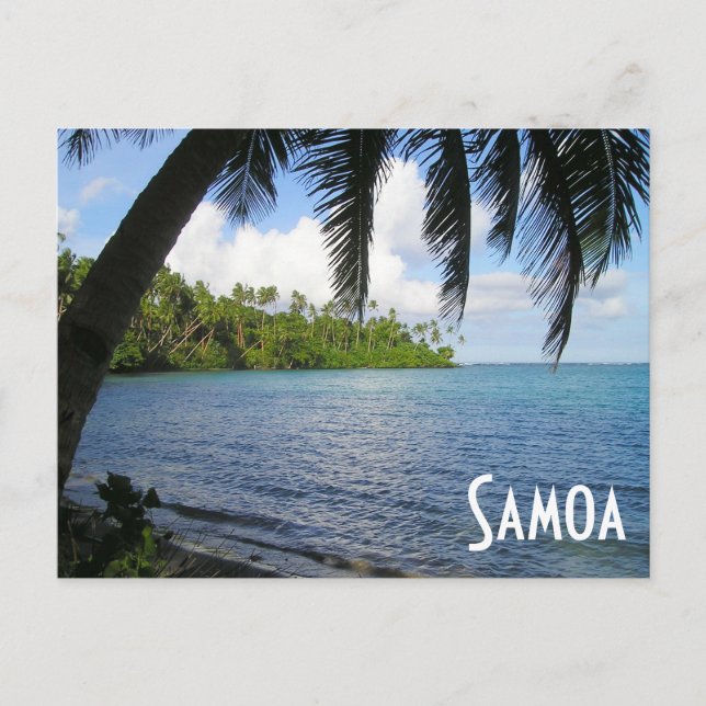 Cartão Postal Pacífico Sul Framboso por Palm Tree, Samoa (Frente)