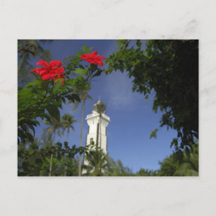 Cartão Postal Pacífico Sul, Polinésia Francesa, Taiti. Hibisco 3
