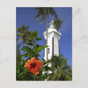 Cartão Postal Pacífico Sul, Polinésia Francesa, Taiti.Hibiscus