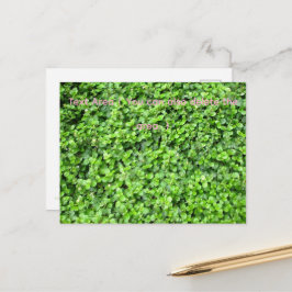 Cartão Postal Packed with greenery