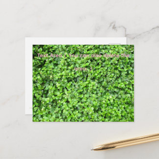 Cartão Postal Packed with greenery