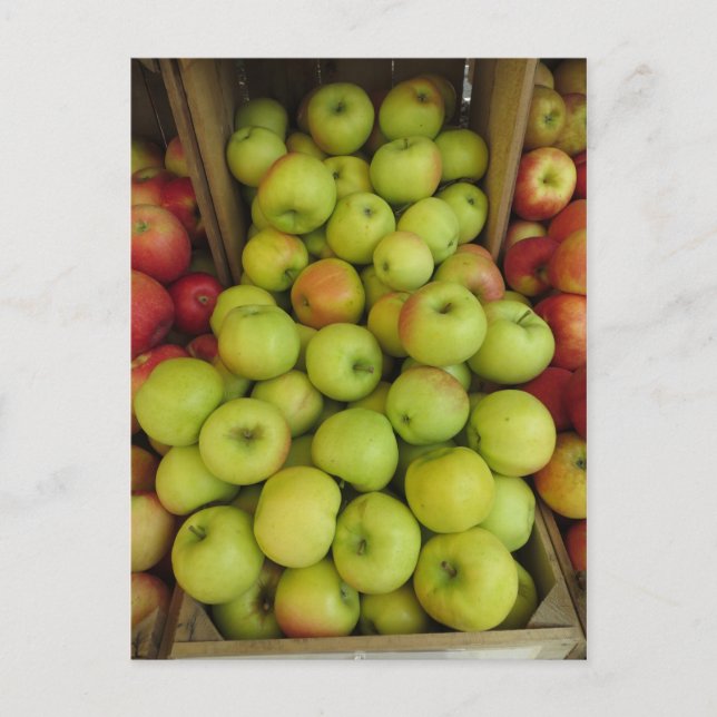 Cartão Postal Pacote de Maçã (Frente)