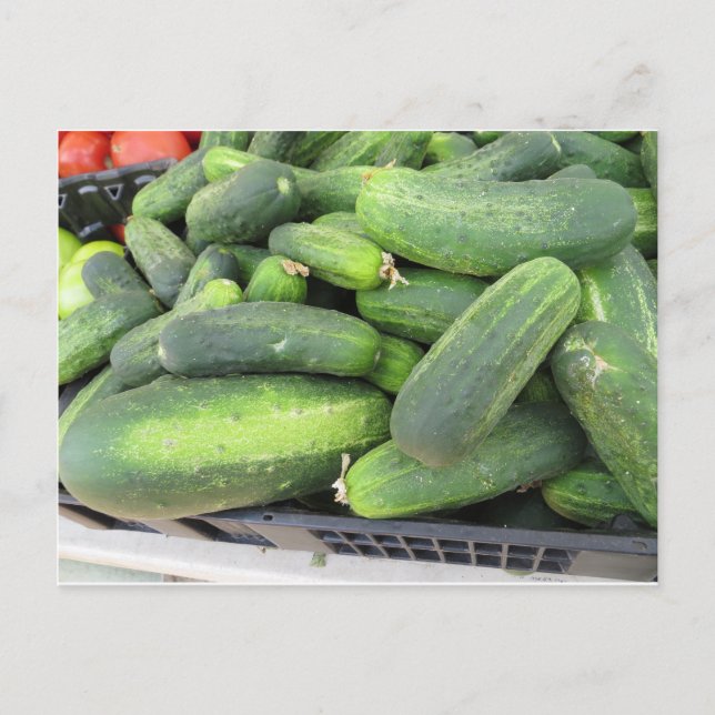 Cartão Postal Pacote de pepino (Frente)
