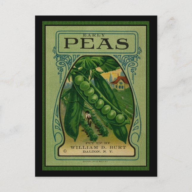 Cartão Postal Pacote De Semente De Peas Antecipadas (Frente)