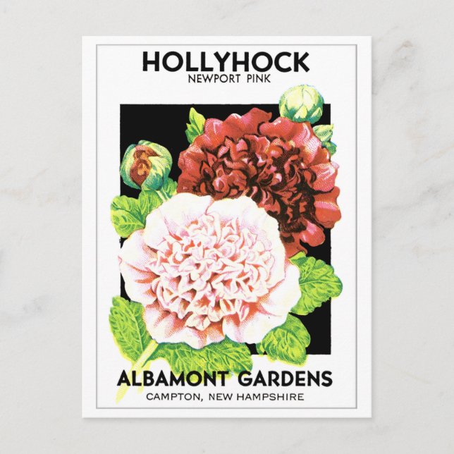 Cartão Postal Pacote de Semente Hollyhock, Vermelhos e Rosa, Inu (Frente)