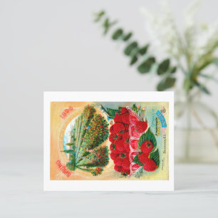 Cartão Postal Pacotes de Semente.