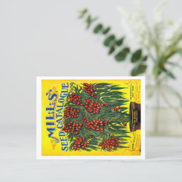 Cartão Postal Pacotes de Semente.