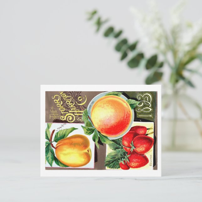 Cartão Postal Pacotes de Semente. (Em pé/Frente)