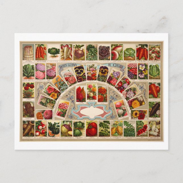 Cartão Postal Pacotes de Semente Vintage (Frente)