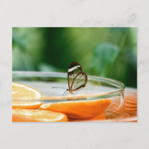 Cartão postal padrão