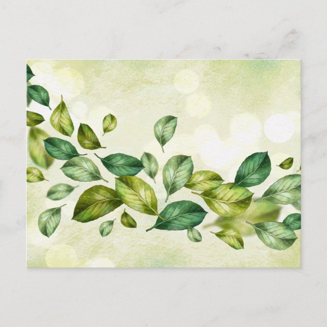 Cartão postal padrão (Frente)