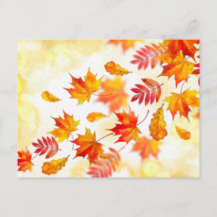 Cartão postal padrão