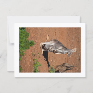 Cartão Postal Padrão