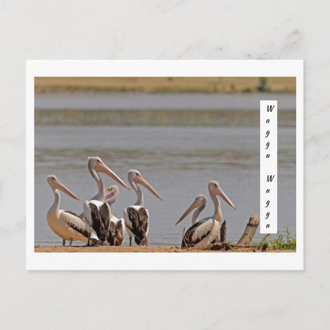 Cartão postal padrão (Frente)