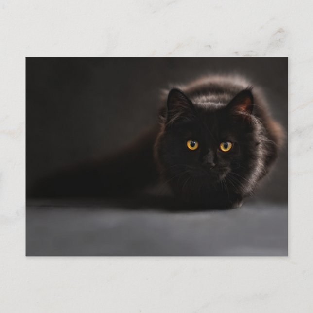 Cartão postal padrão (Frente)