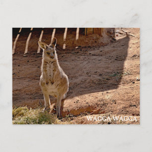 Cartão postal padrão