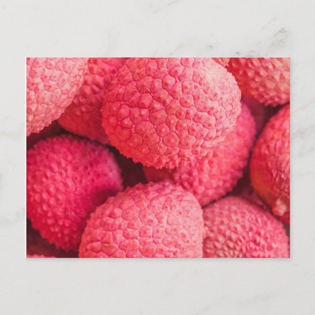 Cartão Postal Padrão bonito de Fruta de Lychee rosa (Frente)