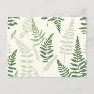 Cartão Postal Padrão Botânico Elegante Verde Fern Fronds