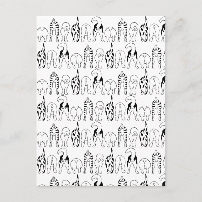 Cartão Postal Padrão de Bumbuns de cães (Frente)