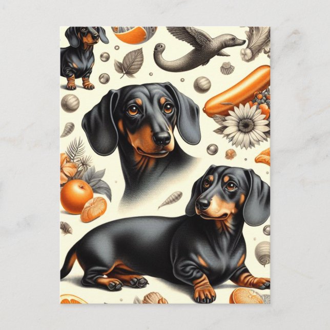 Cartão Postal Padrão de Dachshund Cute (Frente)