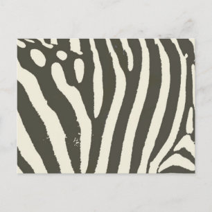 Cartão Postal Padrão de Estampa Animal de Listras de Zebra Moder