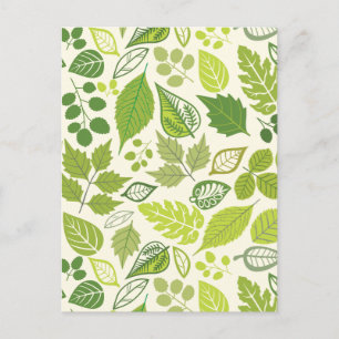Cartão Postal Padrão de Folha Verde