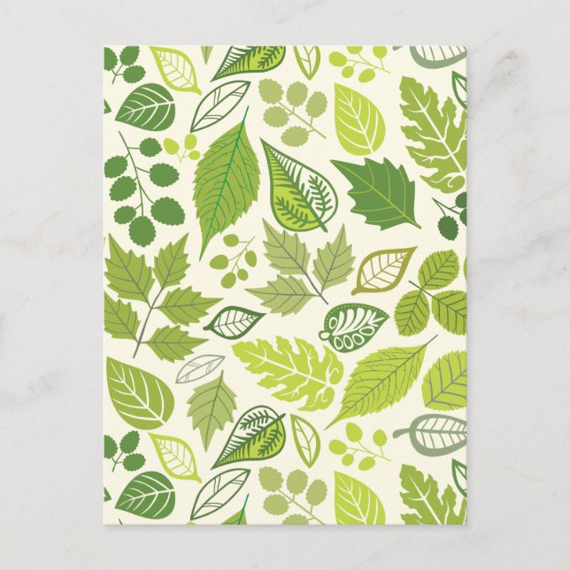 Cartão Postal Padrão de Folha Verde (Frente)
