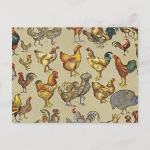 Cartão Postal Padrão de Galo Antigo: Arte de Casa de Campo