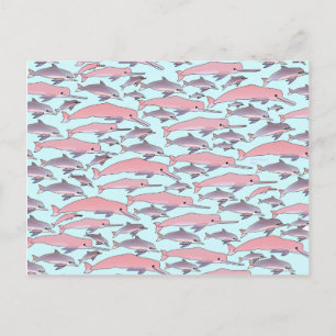 Cartão Postal Padrão de golfinho rosa