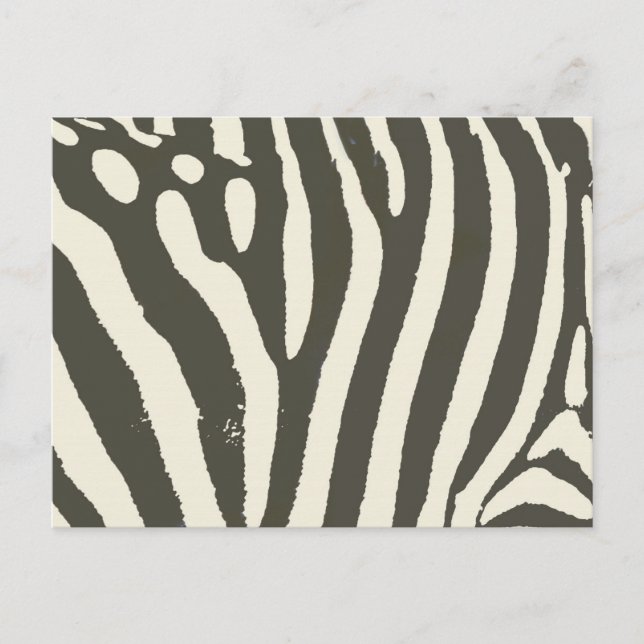Cartão Postal Padrão de Impressão de Animais Zebra Stripe (Frente)