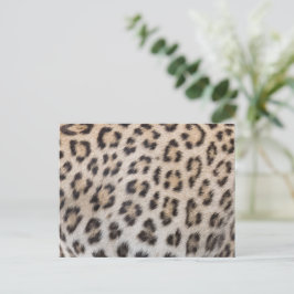 Cartão Postal Padrão de impressão de peles de leopardo-na moda e