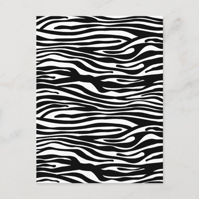 Cartão Postal Padrão de impressão zebra - preto e branco (Frente)