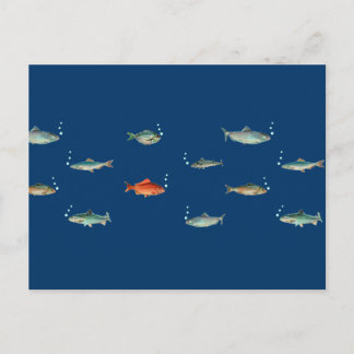 Cartão Postal Padrão de Peixe