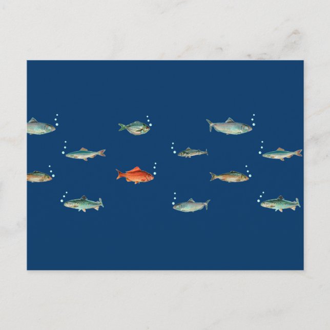 Cartão Postal Padrão de Peixe (Frente)