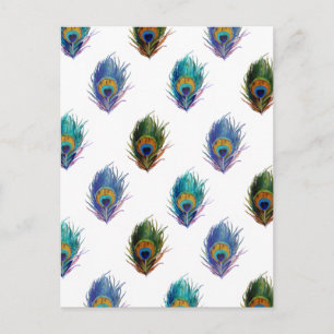 Cartão Postal Padrão de pena de peacock