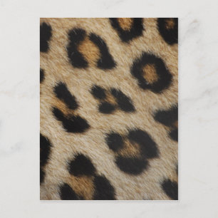 Cartão Postal Padrão de Textura de Pelo de Leopardo