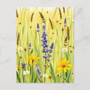 Cartão Postal Padrão de Verão de Prado de Flores Silvestres