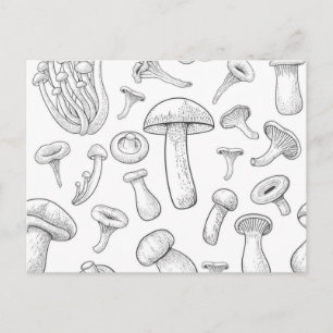 Cartão Postal Padrão do cogumelo