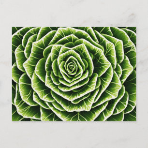 Cartão Postal Padrão Geométrico de Alface Misturando Natureza