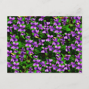 Cartão Postal Padrão Mosaico Violeta Violeta de Madeira de Flor