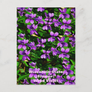 Cartão Postal Padrão Mosaico Violeta Violeta de Madeira de Flor