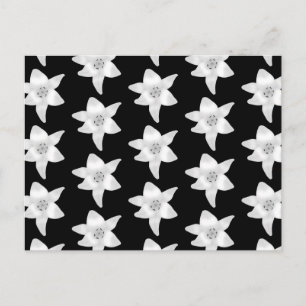 Cartão Postal Padrão na moda Lily em preto e branco.