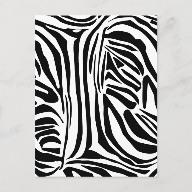 Cartão Postal Padrão zebra (Frente)