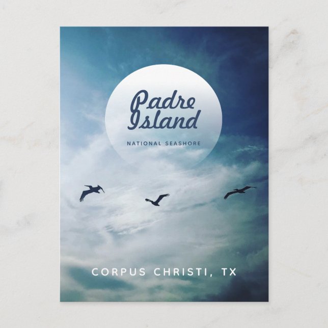 Cartão Postal Padre Island National Seashore Brown Pelanes (Frente)