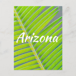 Cartão Postal Padrões de Palmas, Arizona