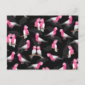 Cartão Postal Padrões de pássaros de cockatoas cor-de-rosa
