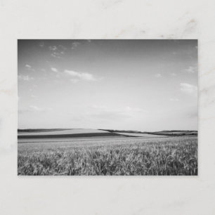 Cartão postal "Padrões naturais"