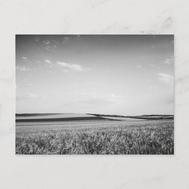 Cartão postal "Padrões naturais" (Frente)