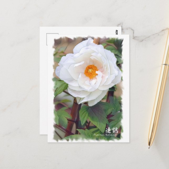 Cartão Postal Paeonia "Renkaku" [Cartão postal] ポ ス ト カ ド (Frente/Verso In Situ)
